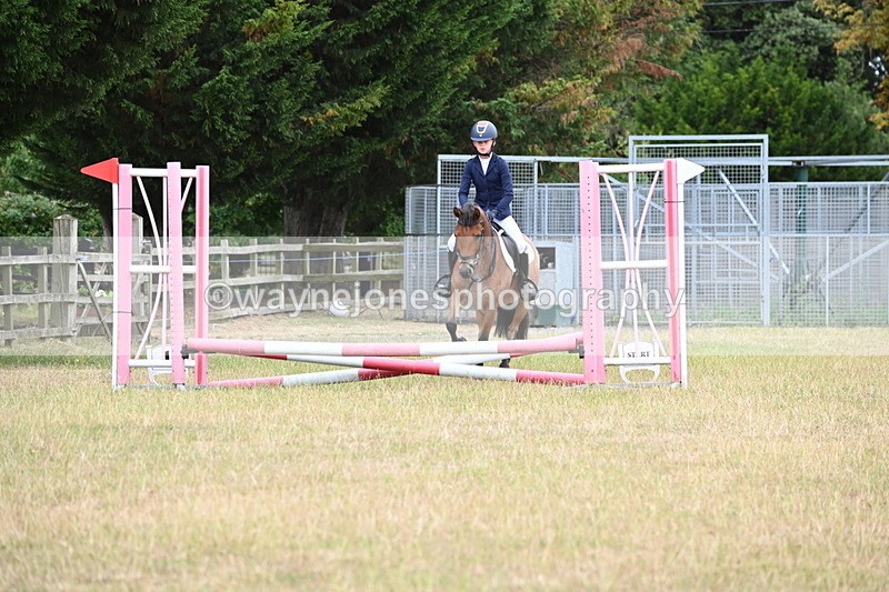 WJ6_9593 - Class 12 Minimus Jumping 45cm