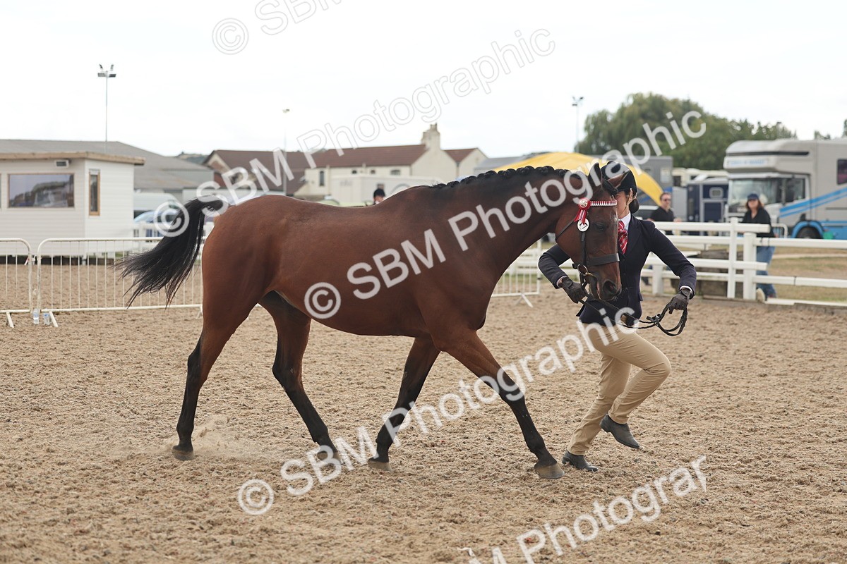 SBM_07620 - Class 26 - IH Foreign Breeds - Part Bred