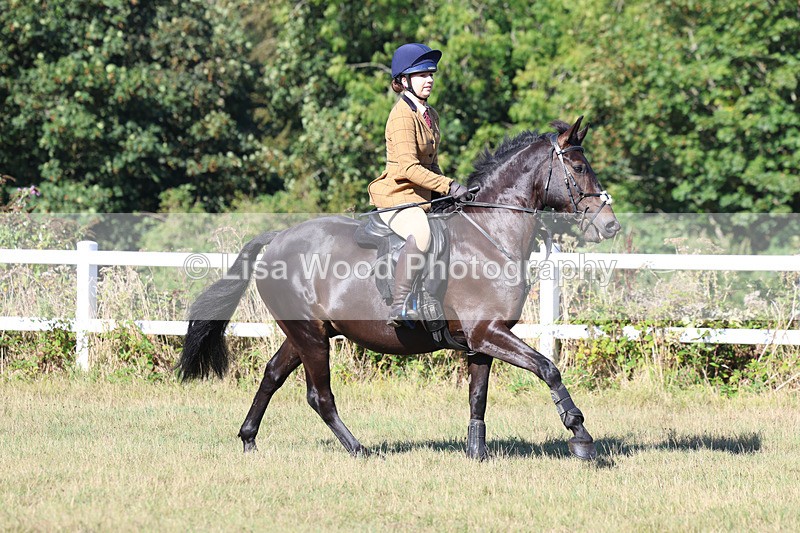 3E7A5491 - Class 3: Working Hunter 70cm