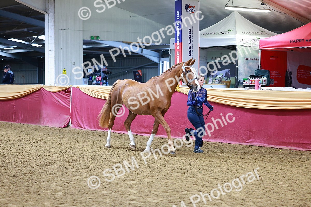 SBM_15994 - Class 901 - Sup Final - IH Diamond