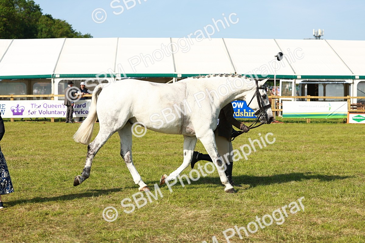 SBM_10947 - Class 66-69 - RIHS Ridden Hunters Inc Small Hunter