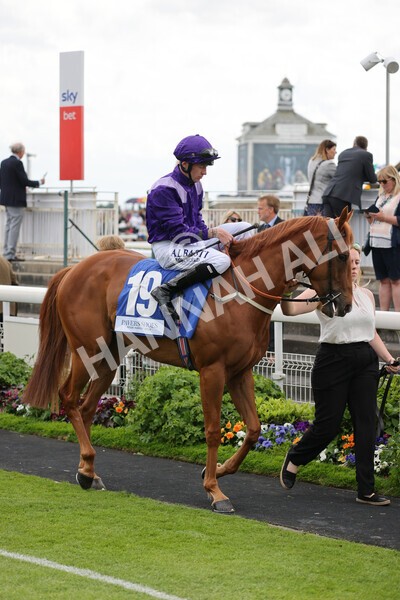 yr11062022r5-10 - Race 5 3.40pm The Pavers Foundation Catherine Memorial Sprint Stakes