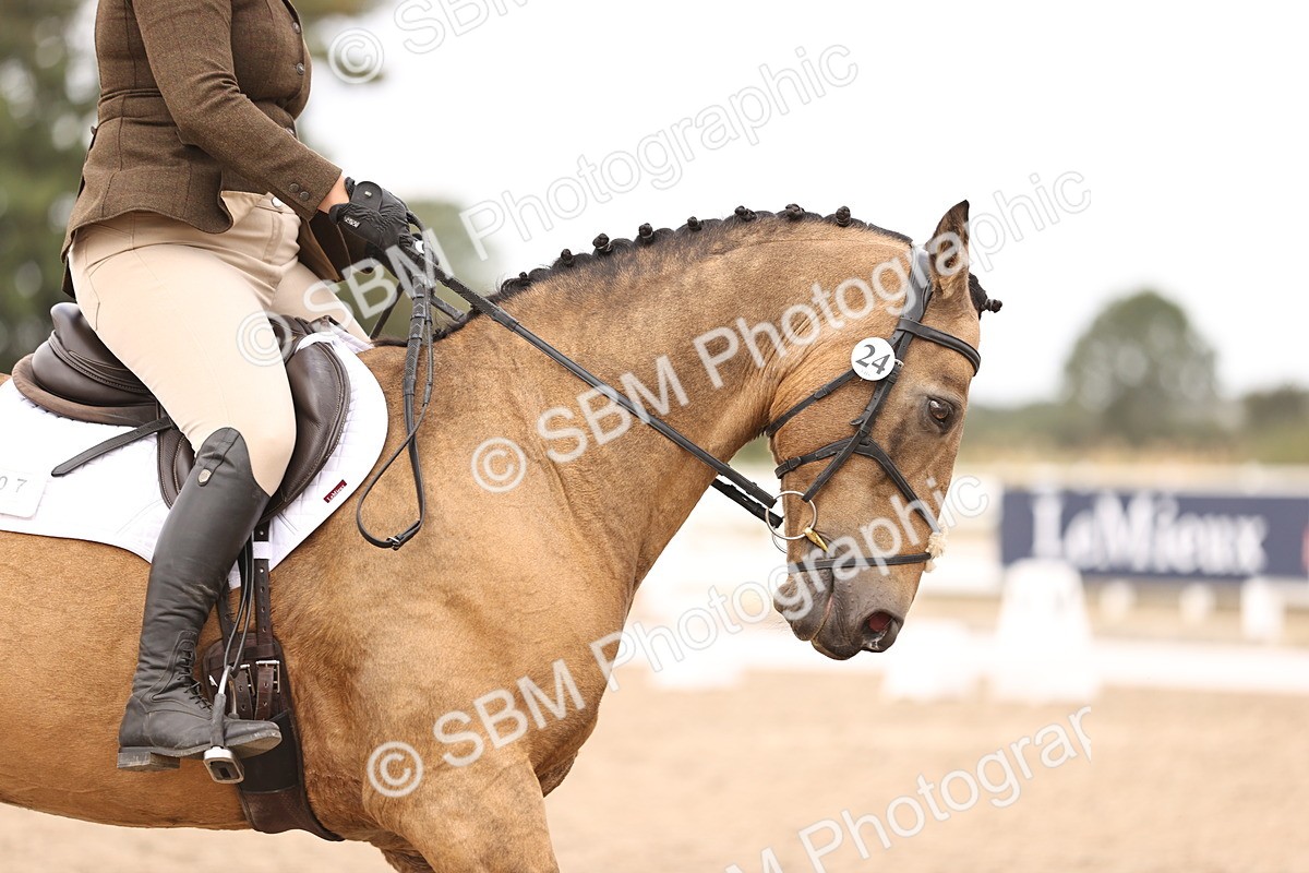 SBM_05169 - Class 36 Prelim 5