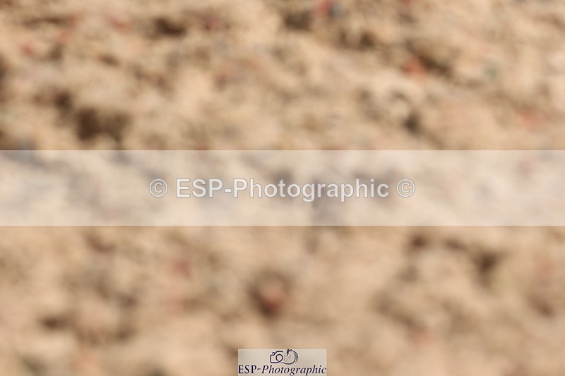 240622A-102407-09310 - Cls 27 BD Novice 37A