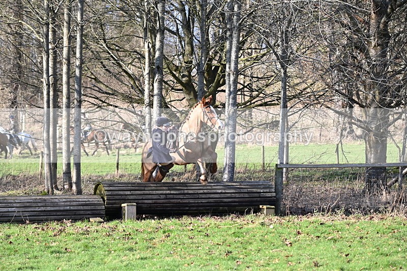 WJ6_8236 - Kerryn
