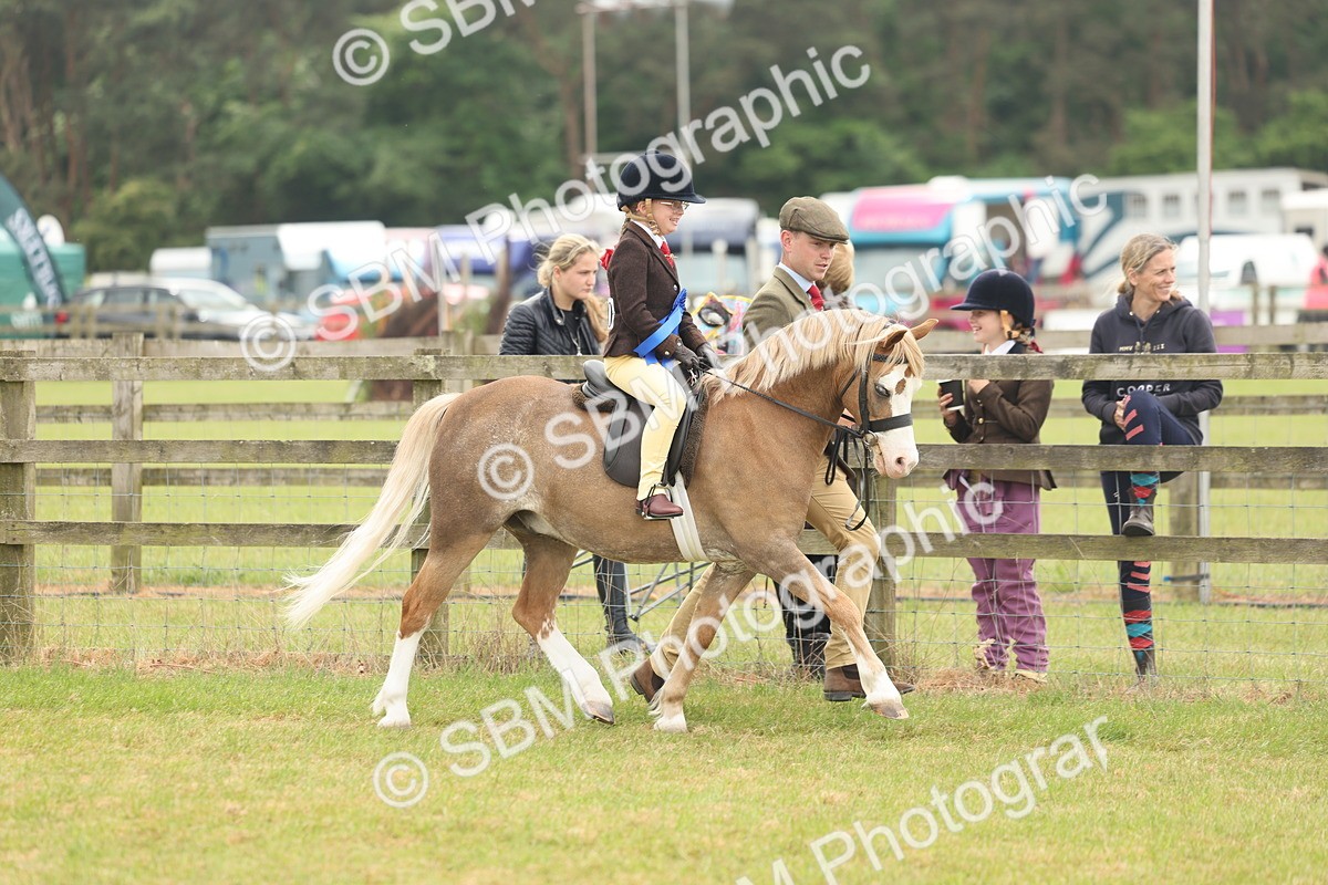 SBM_06836 - Class 74-75 - M&M Lead Rein and First Ridden Pony