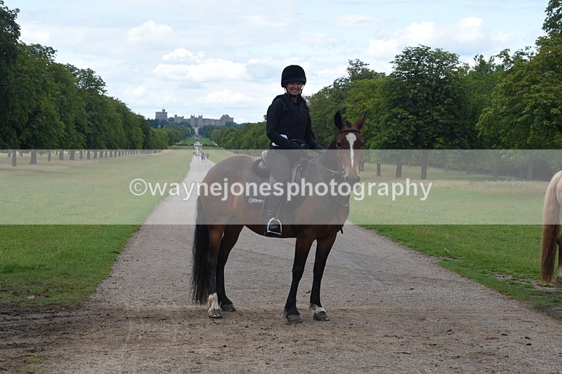 TT3_0533 - Time at Crossing 14:53 to 1526