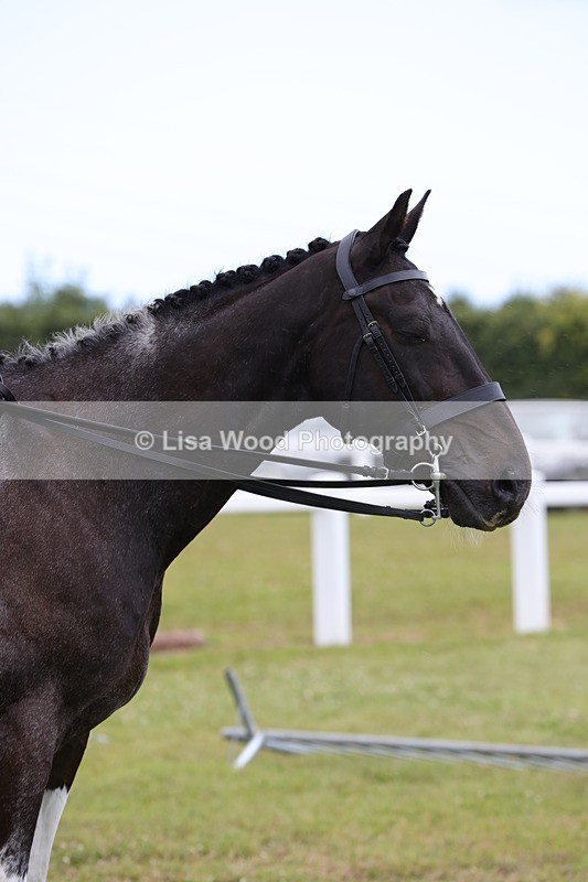 1X9A4461 - Class 34: Veteran Ridden