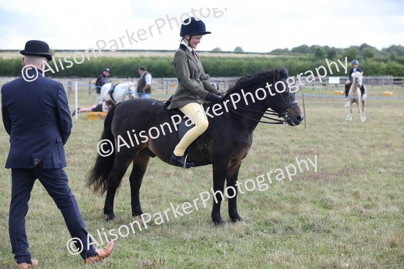 20250831-1156 - Class 15 - Ridden Veteran