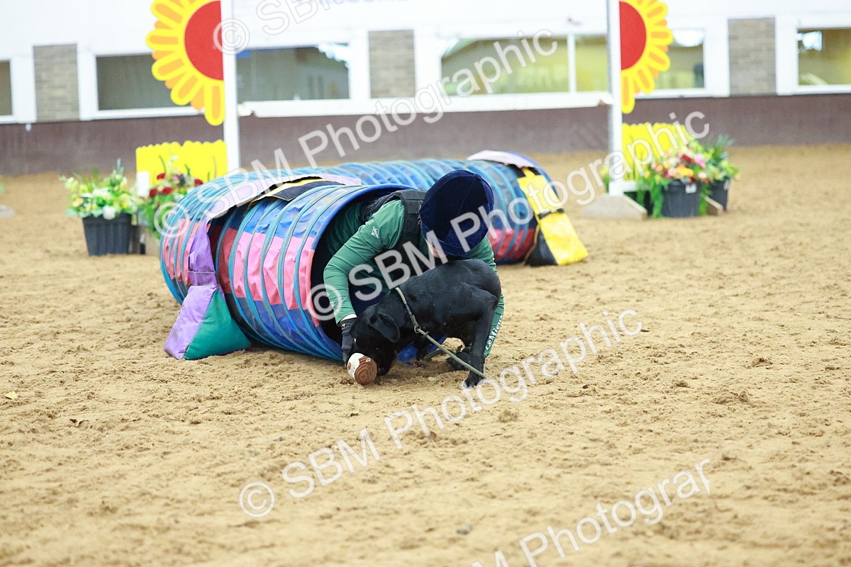 SBM_002391 - Class 3 - Horse & Hound (60cm)