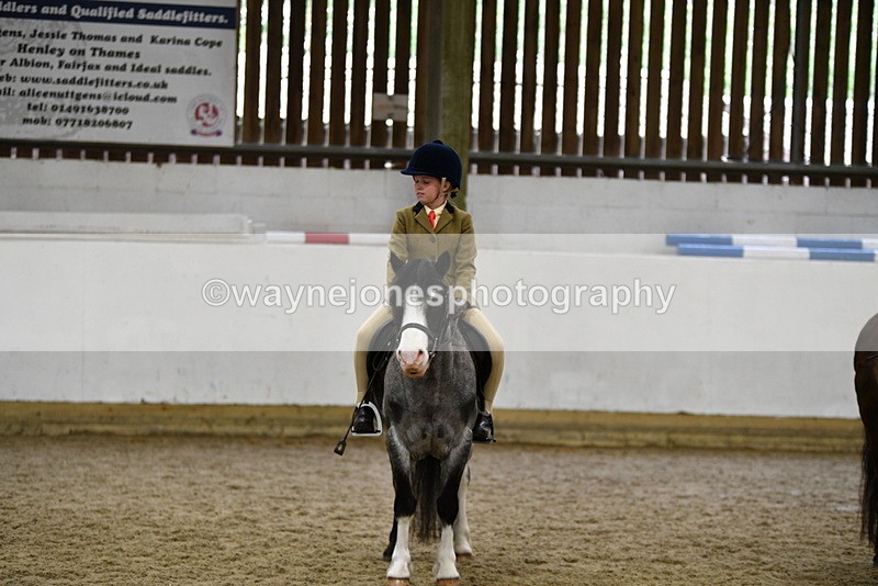 WJ5_7044 - Class 10 Childs Pony