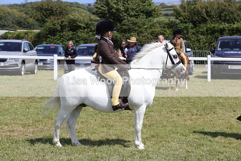 1X9A5383 - Class 37: NPS M&M First Ridden