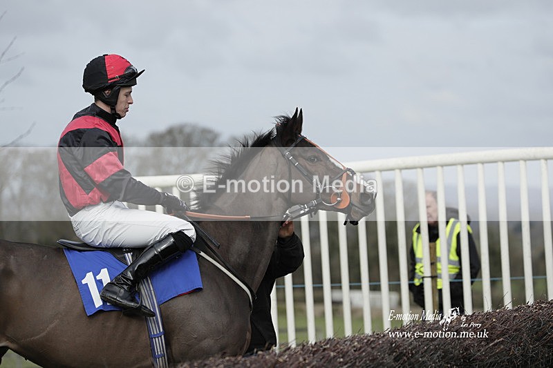 PtP 250223 02 - Kimblewick Hunt Point-to-Point Kingston Blount 25/02/23