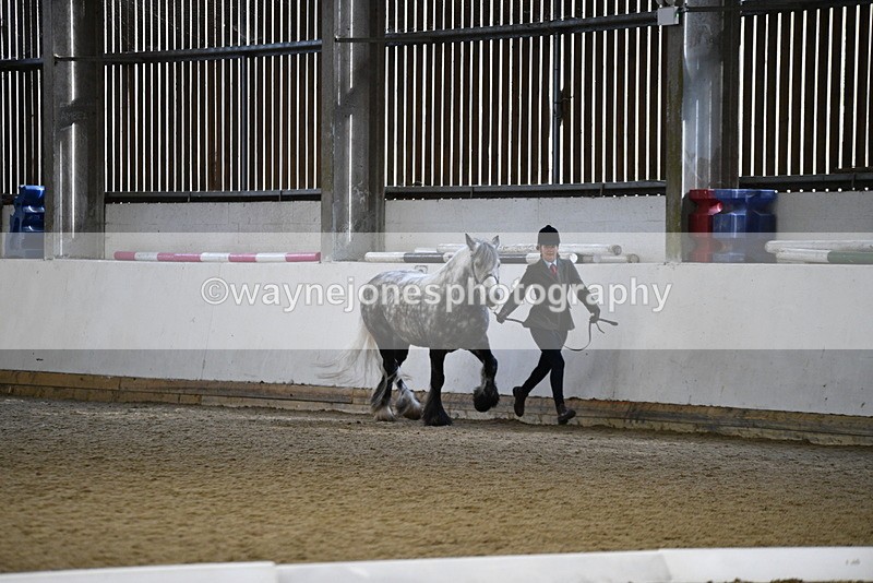 WJ5_5205 - Class 8 In hand cob