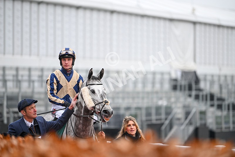 131224-Race 4-King Turgeon-8991 - Race 4