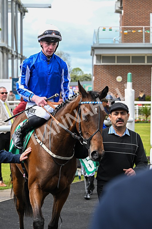 160526-Race 2-Kodi Bear Light-9342 - Race 2 2.23pm Marion Gibson Brown Memorial - Irish EBF Restricted Maiden Fillies' Stakes (Div II)