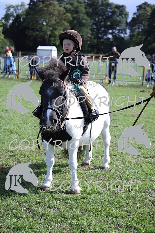 APP_3942 - Class 13 Lead rein