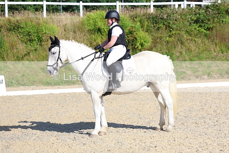 3E7A3387 - Class 2: Intro 1 2024 Section B