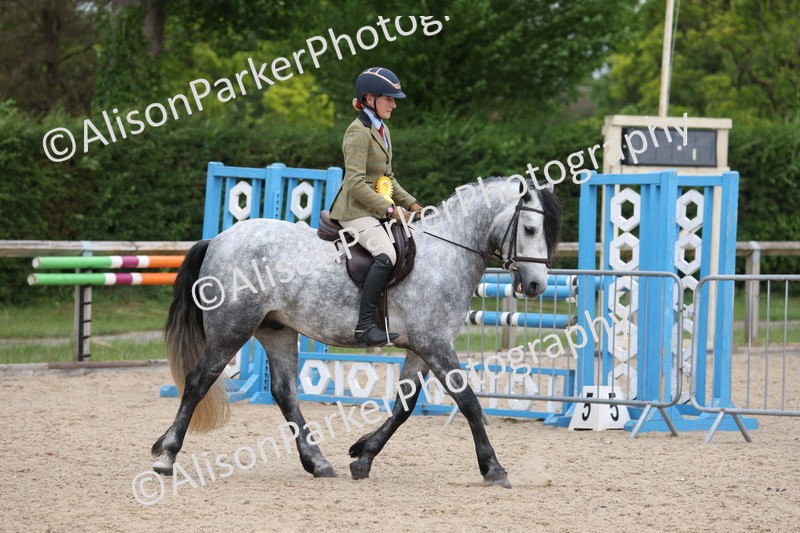 20250524-1440 - Class 16 - Hunter and Cob