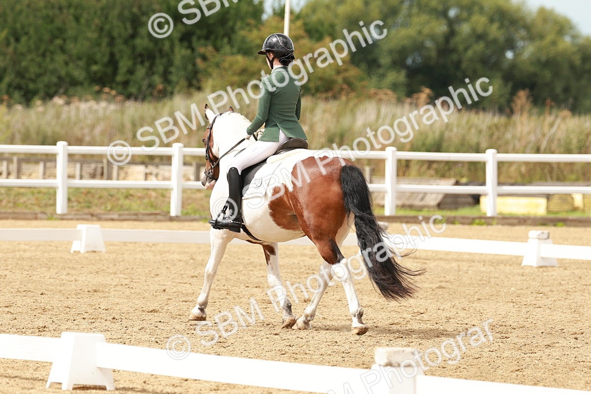 SBM_001973 - Class 8 - Elementary 6