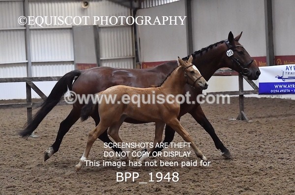 BPP_1948 - AFTERNOON 12.30 - 3.30PM