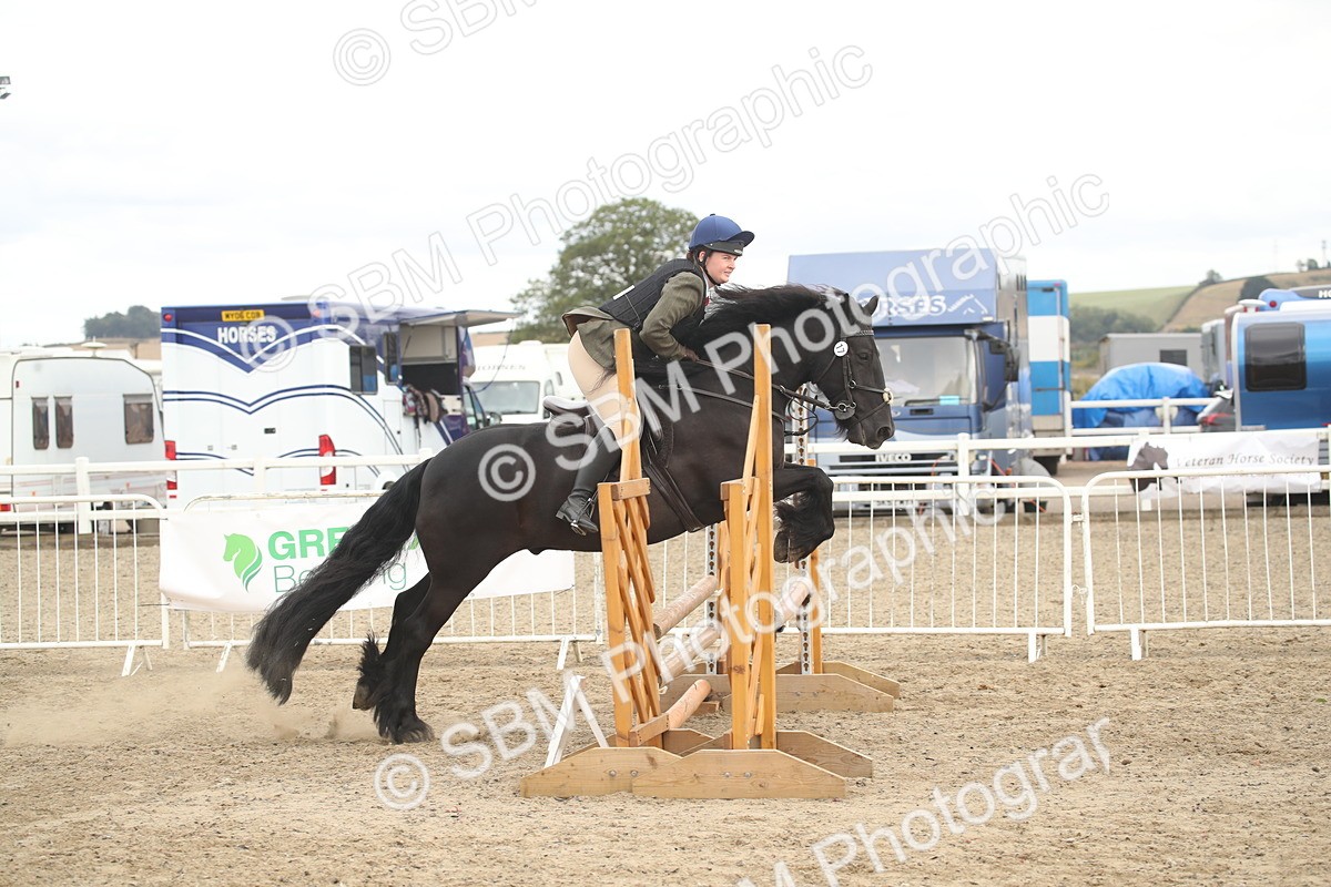 SBM_17719 - Class 508a - Working Veteran 70cm (15-19)