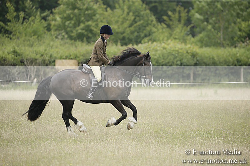 B230619-0509 - Bourne Valley Riding Club Summer Show 23/06/19