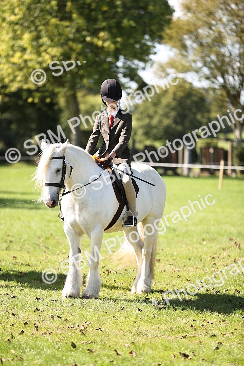 SBM_19371 - S3 - TSR Ridden Pony Showing