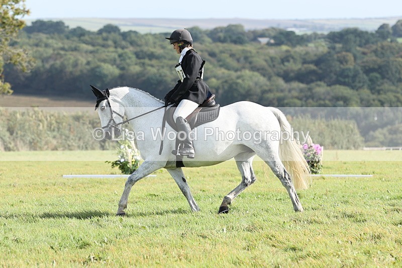 JPP_8072 - Class 2A: Trekenning Open: Dressage