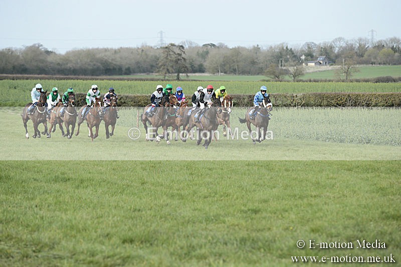 PtP 230319 400 - VWH Hunt Siddington Point-to-Point Racing 23/03/19