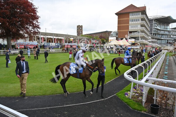 yr14052021r5-4 - Race 5 3.40pm The Jigsaw Sports Branding Handicap