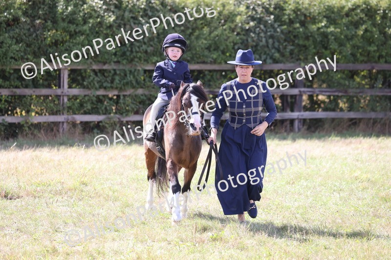 20260906-2800 - Class 25 - Absolute Beginners Pony