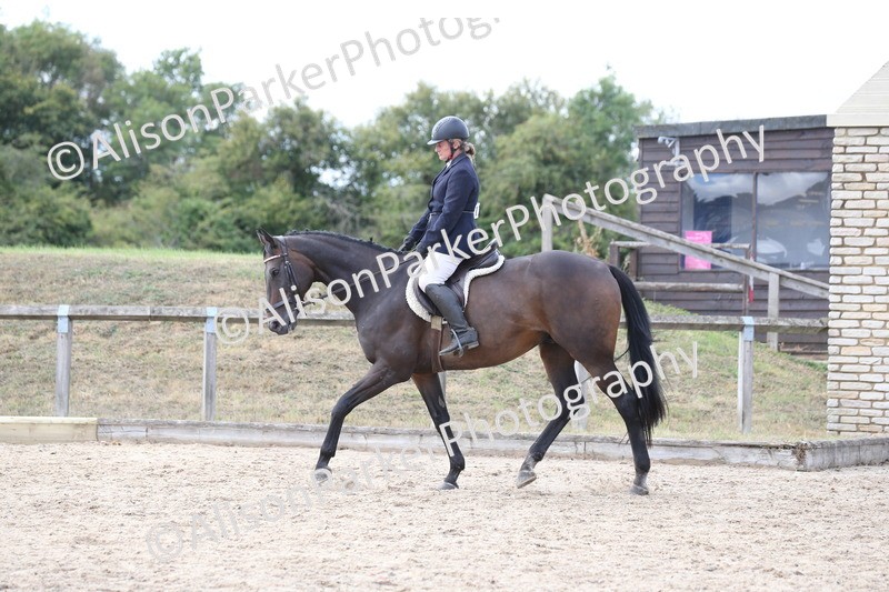 20260831-2634 - Class 15 - Ridden Retraining of Racehorses