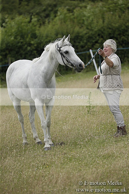 B230619-0590 - Bourne Valley Riding Club Summer Show 23/06/19