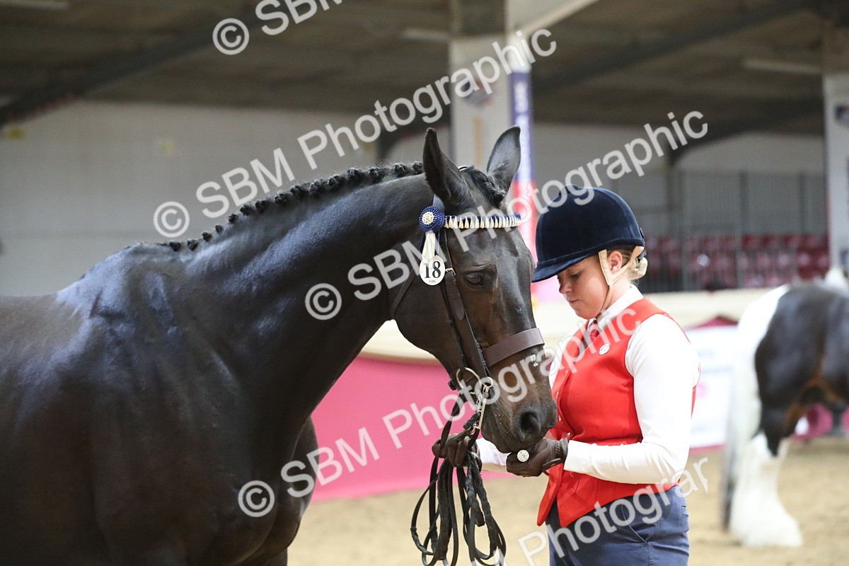 SBM_06420 - Class 9R Regional- IH Pre Vet