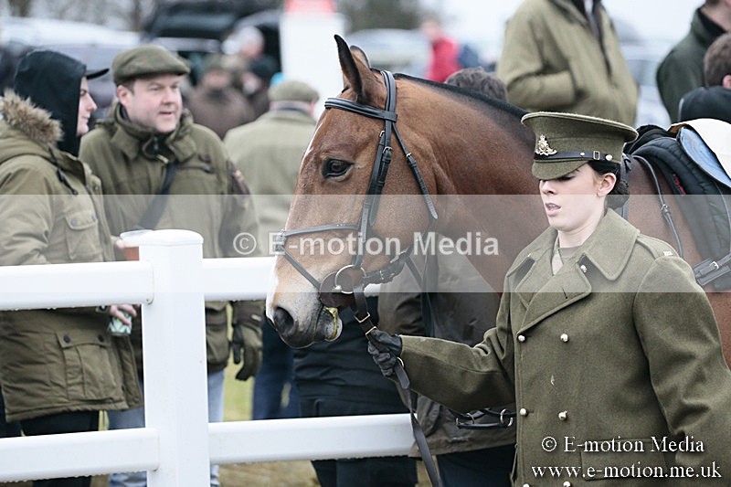PtP 180218 76 - Combined Services Point-to-Point Larkhill 18/02/18
