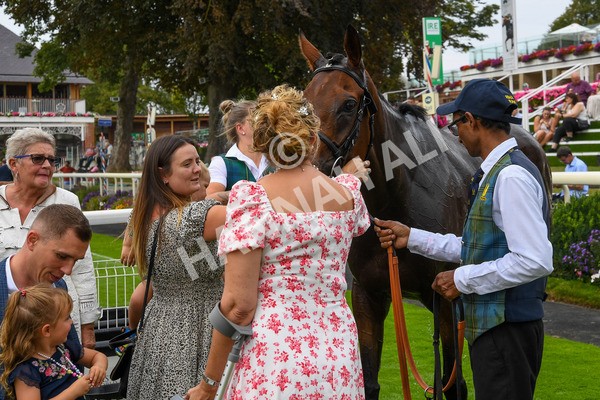 100923-Race 3-Yorkindness-0337 - Race 3 2.45pm Fine Details Vehicle Valeting Handicap