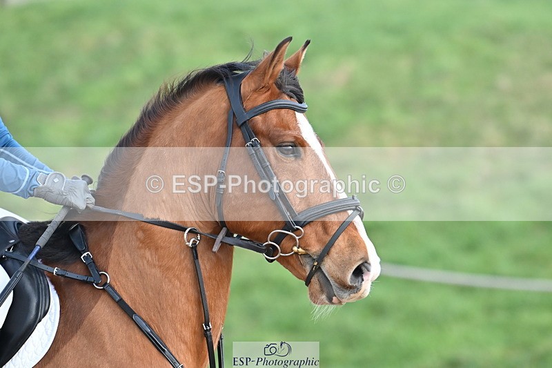 240127A-121042-00832 - AE 70cm