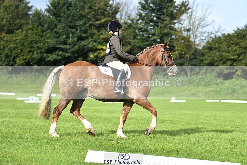 230826-091107-15043 - Sections C & D 9 to 10am