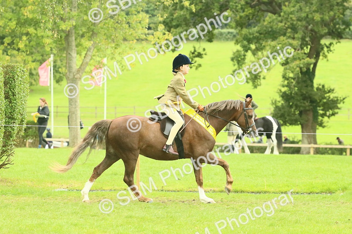SBM_75014 - Ridden Pony Supreme Championship