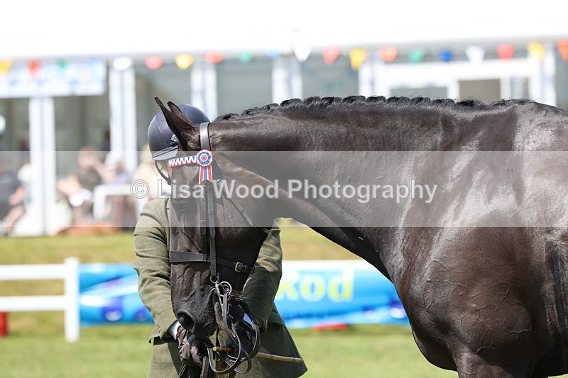 3E7A1233 - Class 8: Open Riding Horse/Hack