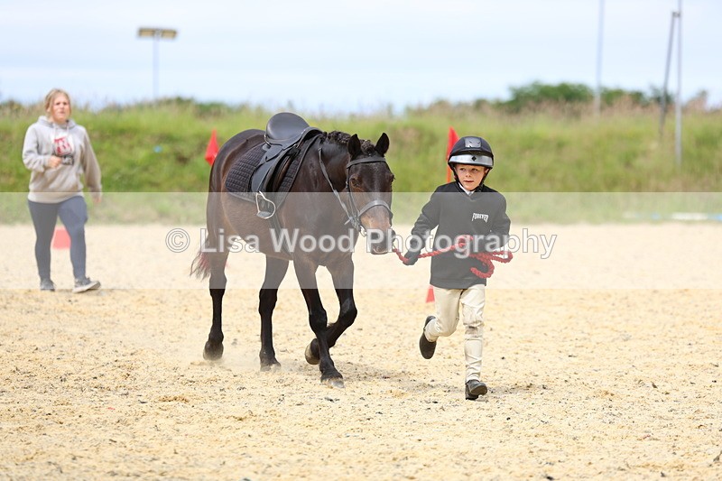 3E7A9378 - Walk trot run