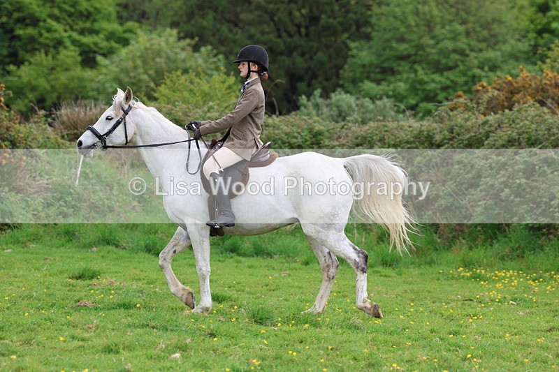 3E7A2118 - Class 11: Ridden Arab