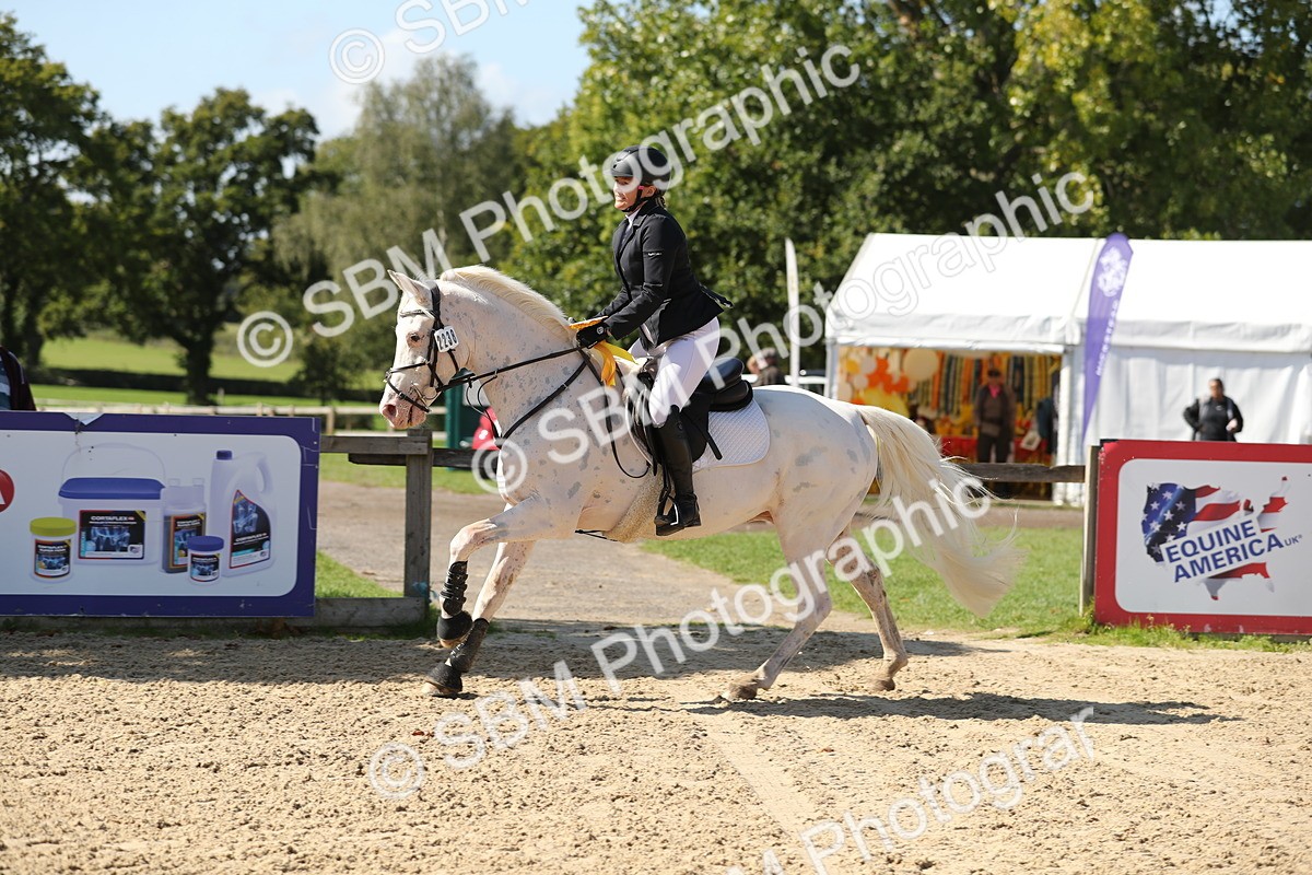 SBM_04837 - J28 - Senior Horse & Pony 60cm Championships