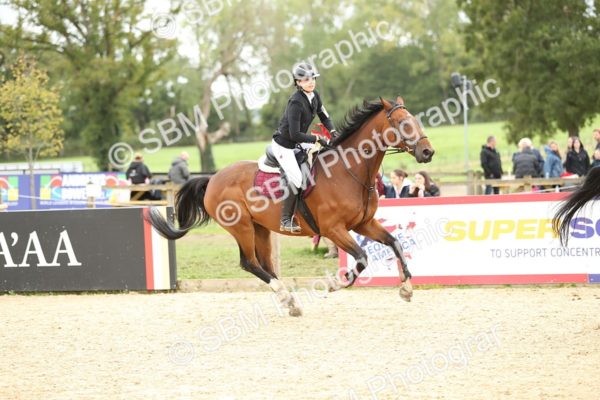 SBM_63219 - Supreme championship 75cm 80cm
