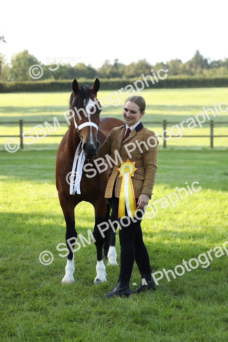 SBM_57982 - S42 - Youngstock