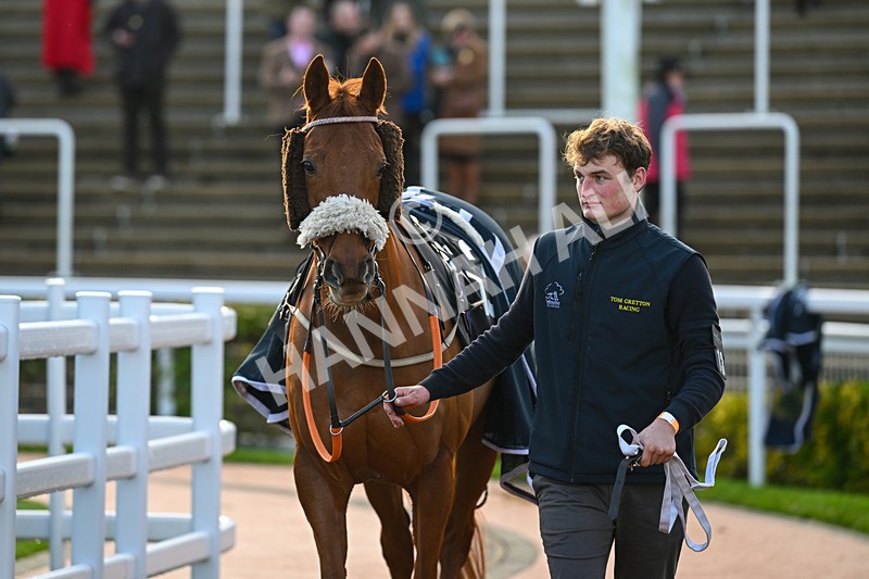 141224-Race 3-Getbazoutofhere-1618 - Race 3