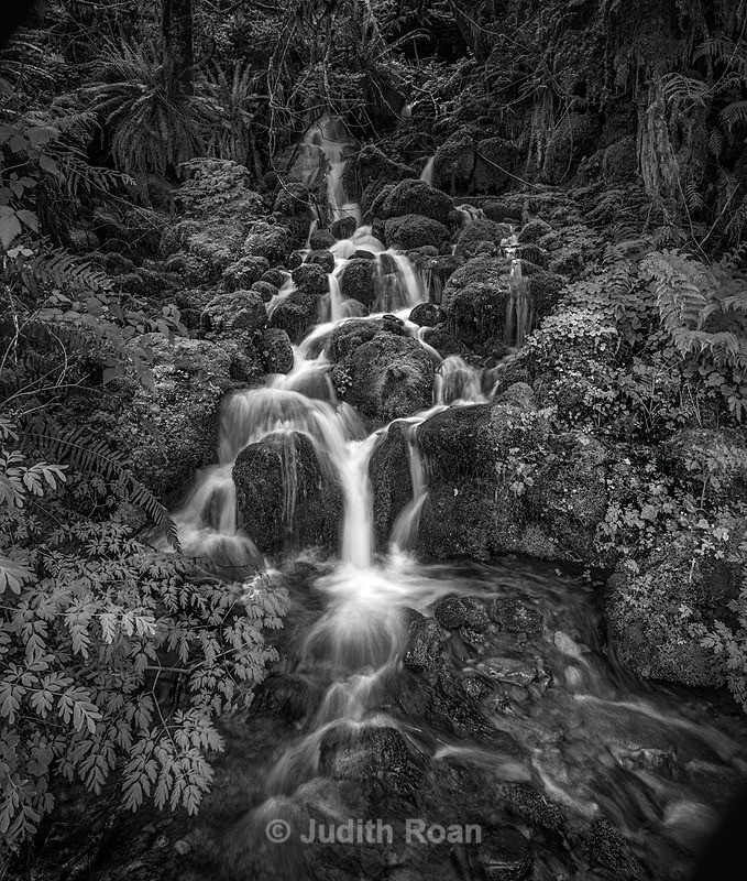 Quinault Waterfall - Palladium Prints by Ron Reeder