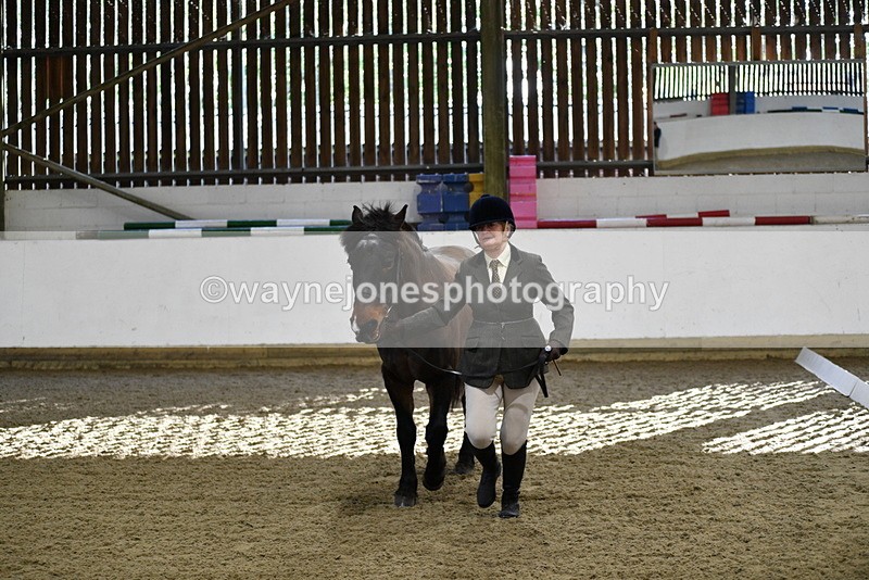 WJ5_3568 - Class 5 In Hand Veterans