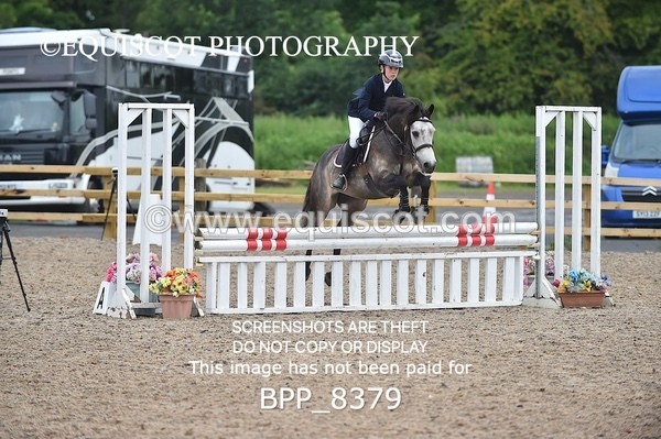 BPP_8379 - CLASS 1 British Novice / 0.80m Open